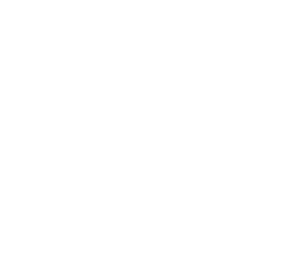 Litz Anchor